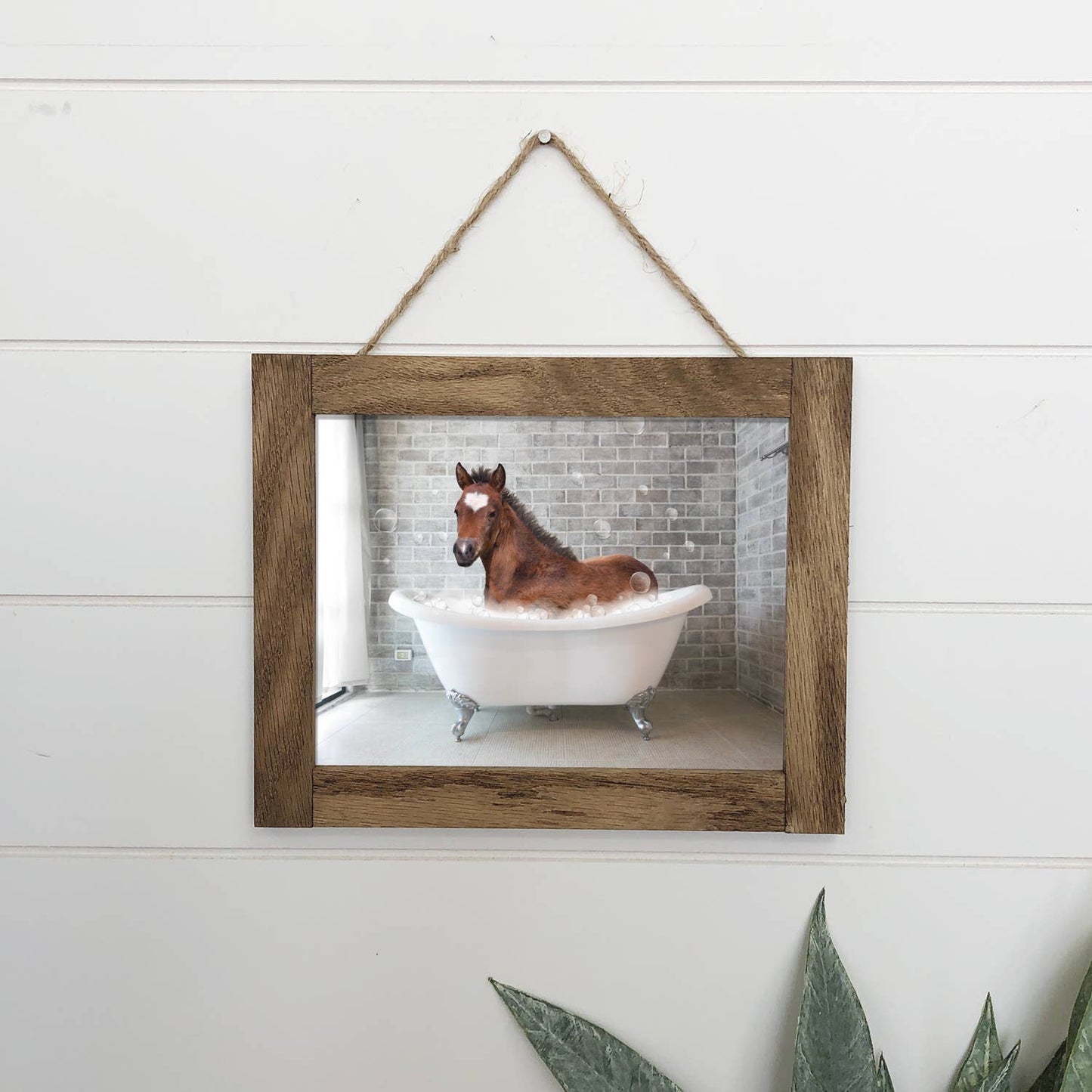 Letrero de madera con diseño de caballo en la bañera, divertido para el baño, enmarcado: lienzo pequeño de 6 x 8 pulgadas con marco de madera plano